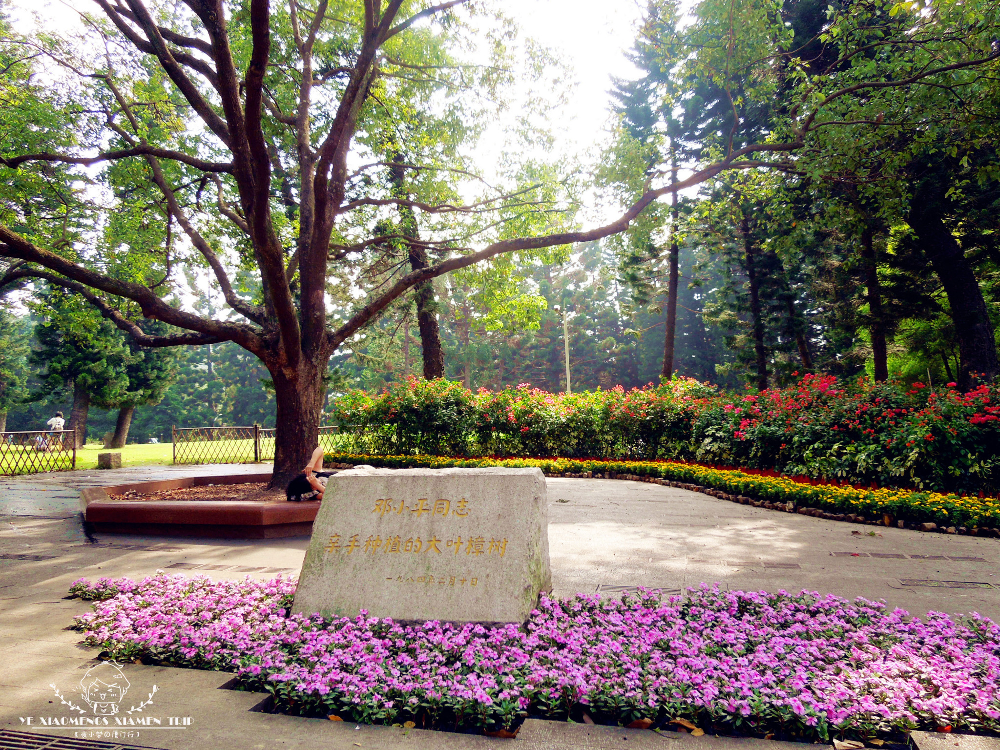 厦门园林植物园(万石植物园)