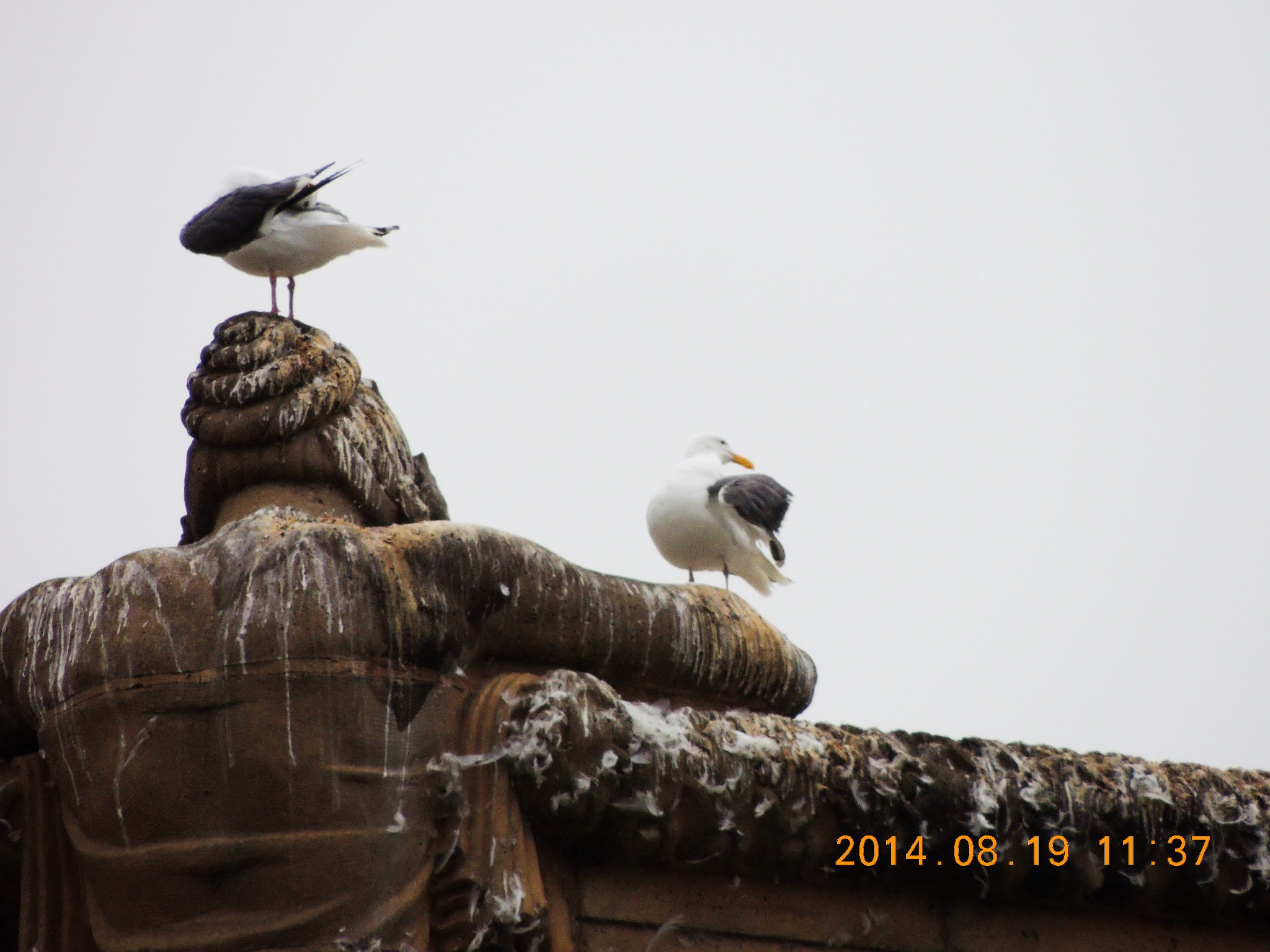 wKgB6lSHnt6AQUALAAdapDTJPoY90.jpeg?imageView2%2F2%2Fw%2F600%2Fh%2F600%2Fq%2F90