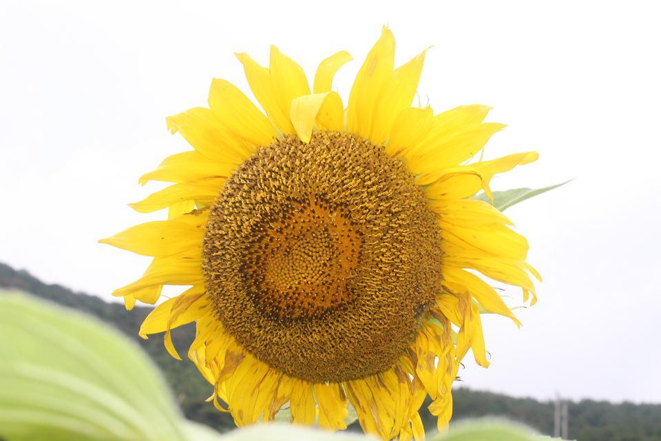 wKgB6lP1xFSAMK1BAAEVgQAYEC852.jpeg?imageView2%2F2%2Fw%2F600%2Fh%2F600%2Fq%2F90