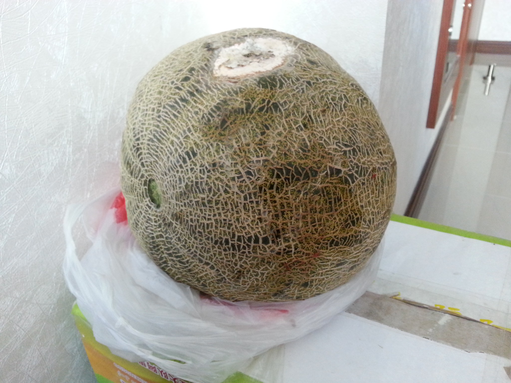 新疆北疆深度自由行攻略---爱到心碎只因相遇太