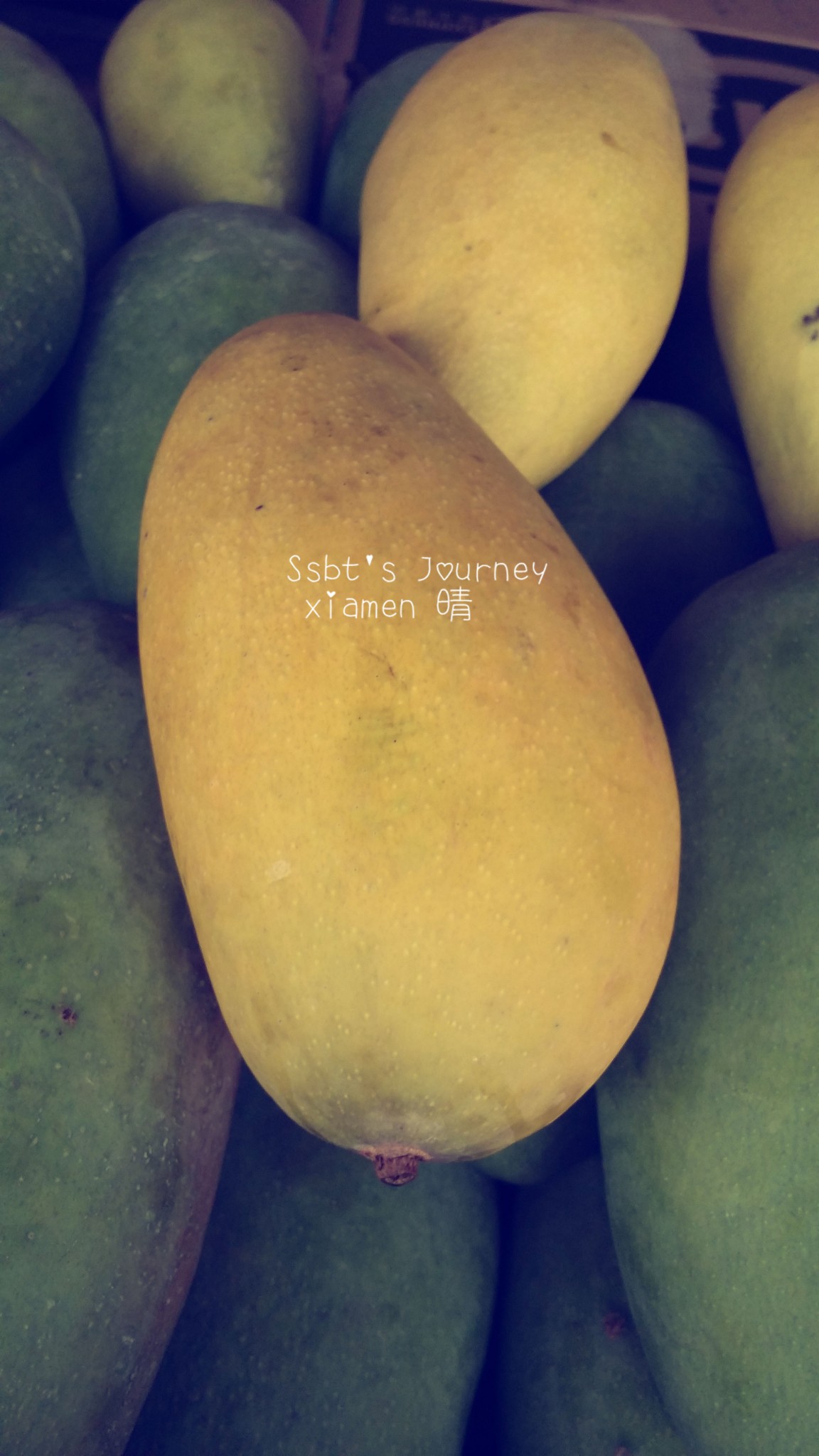 wKgB6lTRtl2AA9prAASDVS0E5dU37.jpeg?imageView2%2F2%2Fw%2F600%2Fh%2F600%2Fq%2F90