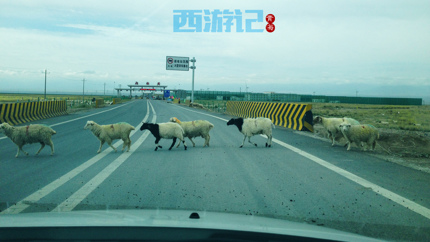 格尔木多少人口_格尔木疗养院图片(2)