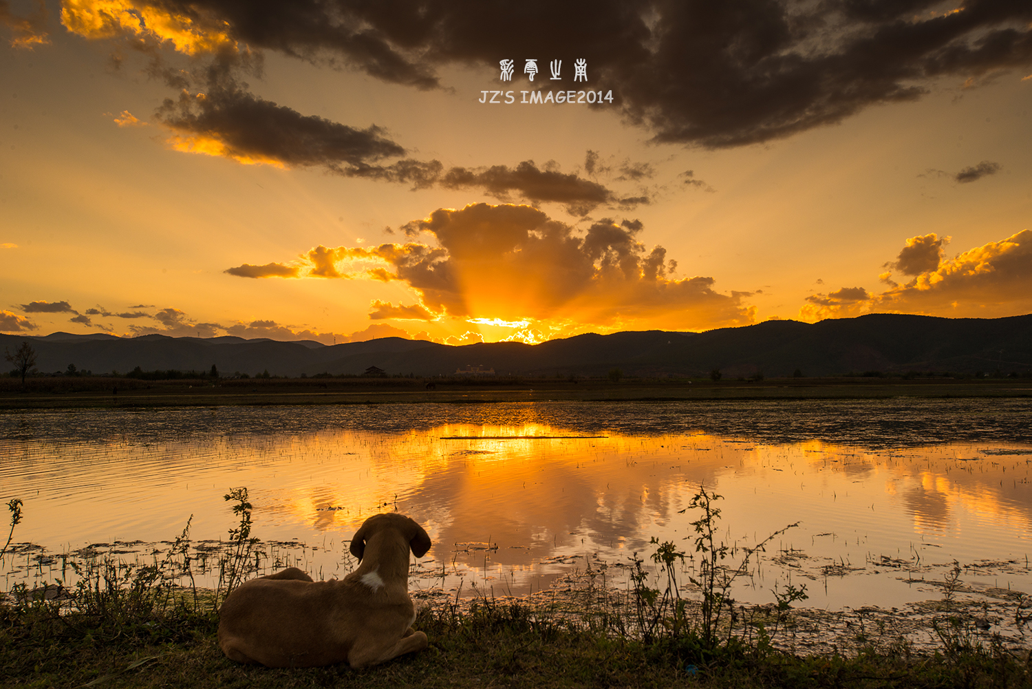 ���к�ʪ�ع�԰