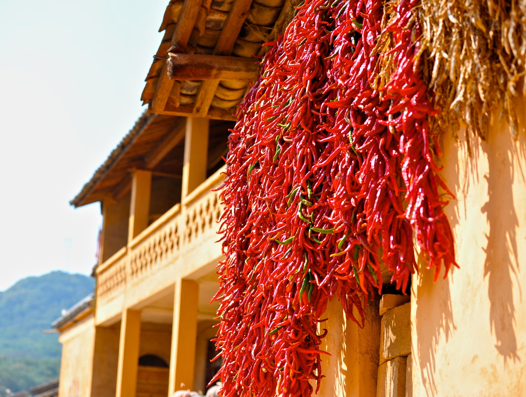 还有院中,屋檐下悬挂晾晒的苞谷和那一串串,红彤彤的干辣椒.