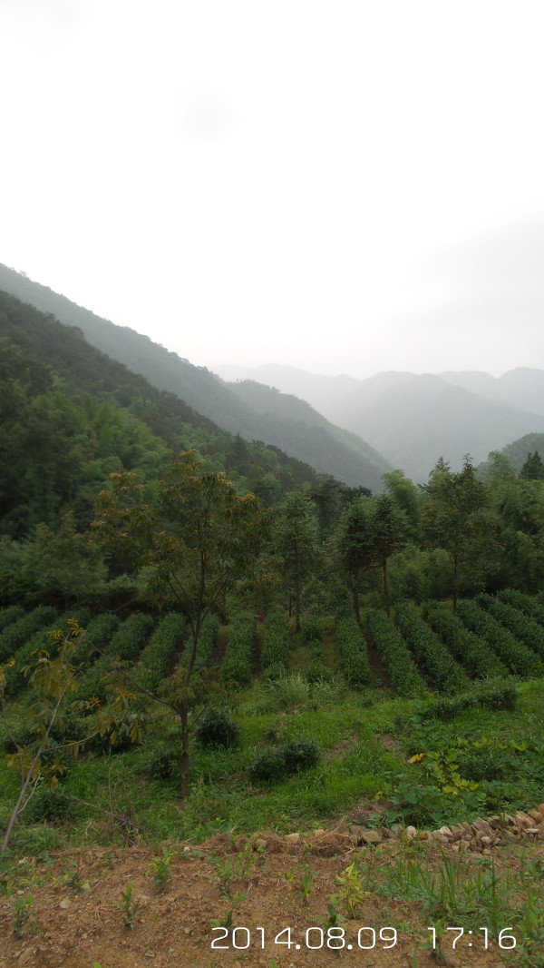 安吉游玩山里攻略,安吉游玩攻略