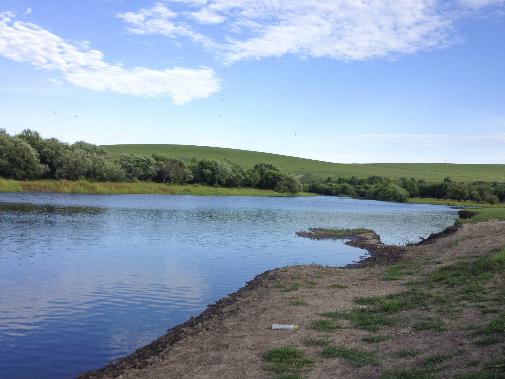 wKgB6lPuIXmAEF4QAAvh1gSCHhU21.jpeg?imageView2%2F2%2Fw%2F600%2Fq%2F90%7CimageMogr2%2Fstrip%2Fquality%2F90