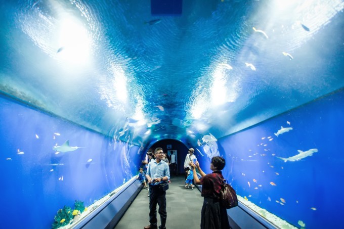 大阪吃喝玩乐全攻略(附自由行路线)