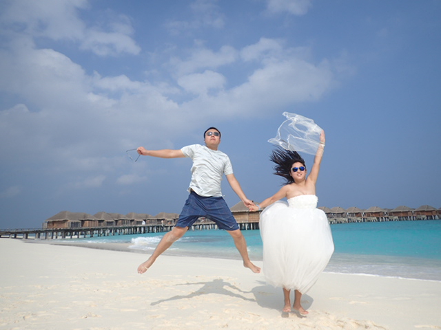 海豚梦婚纱_海豚图片卡通