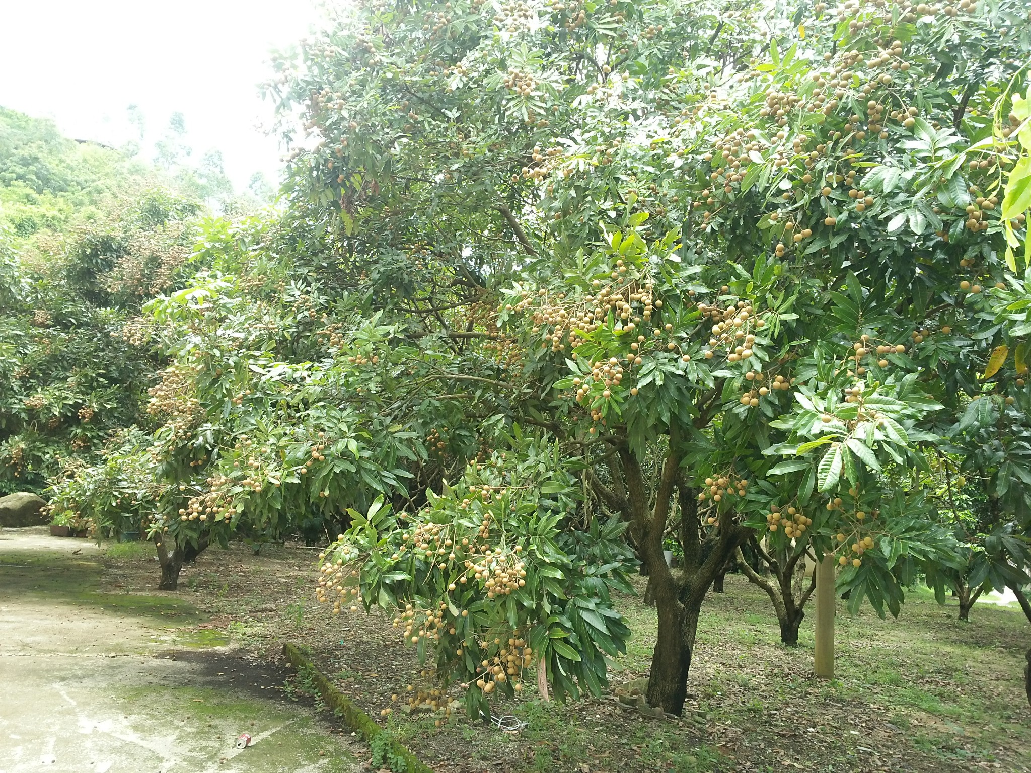 wKgB6lPExq6Ac37eABYu1xnVKEk85.jpeg?imageMogr2%2Fthumbnail%2F%21500x300r%2Fgravity%2FCenter%2Fcrop%2F%21500x300%2Fquality%2F90