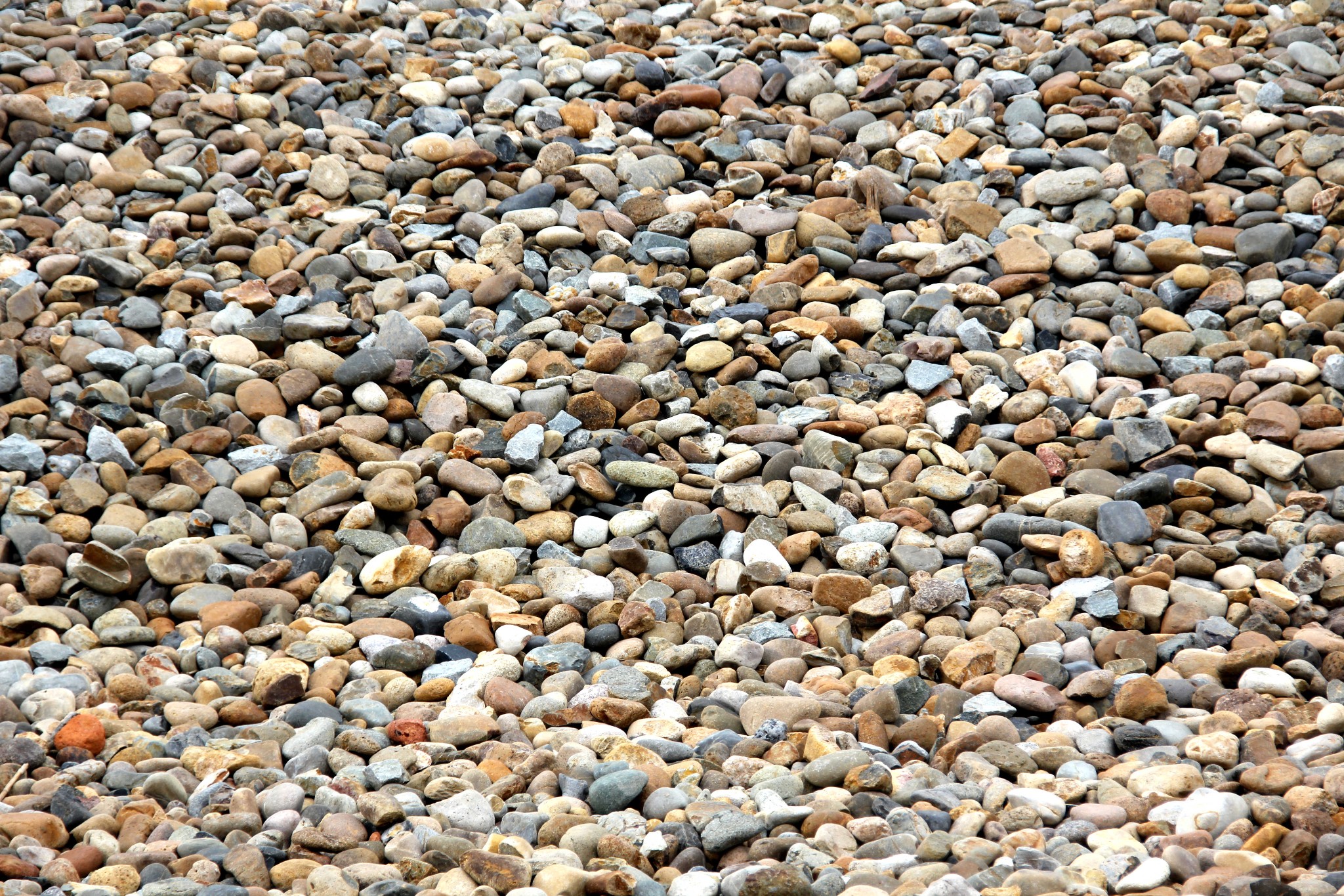 wKgBpVXXBrWAOSzEABG9_1138kE37.jpeg?imageView2%2F2%2Fw%2F600%2Fh%2F600%2Fq%2F90