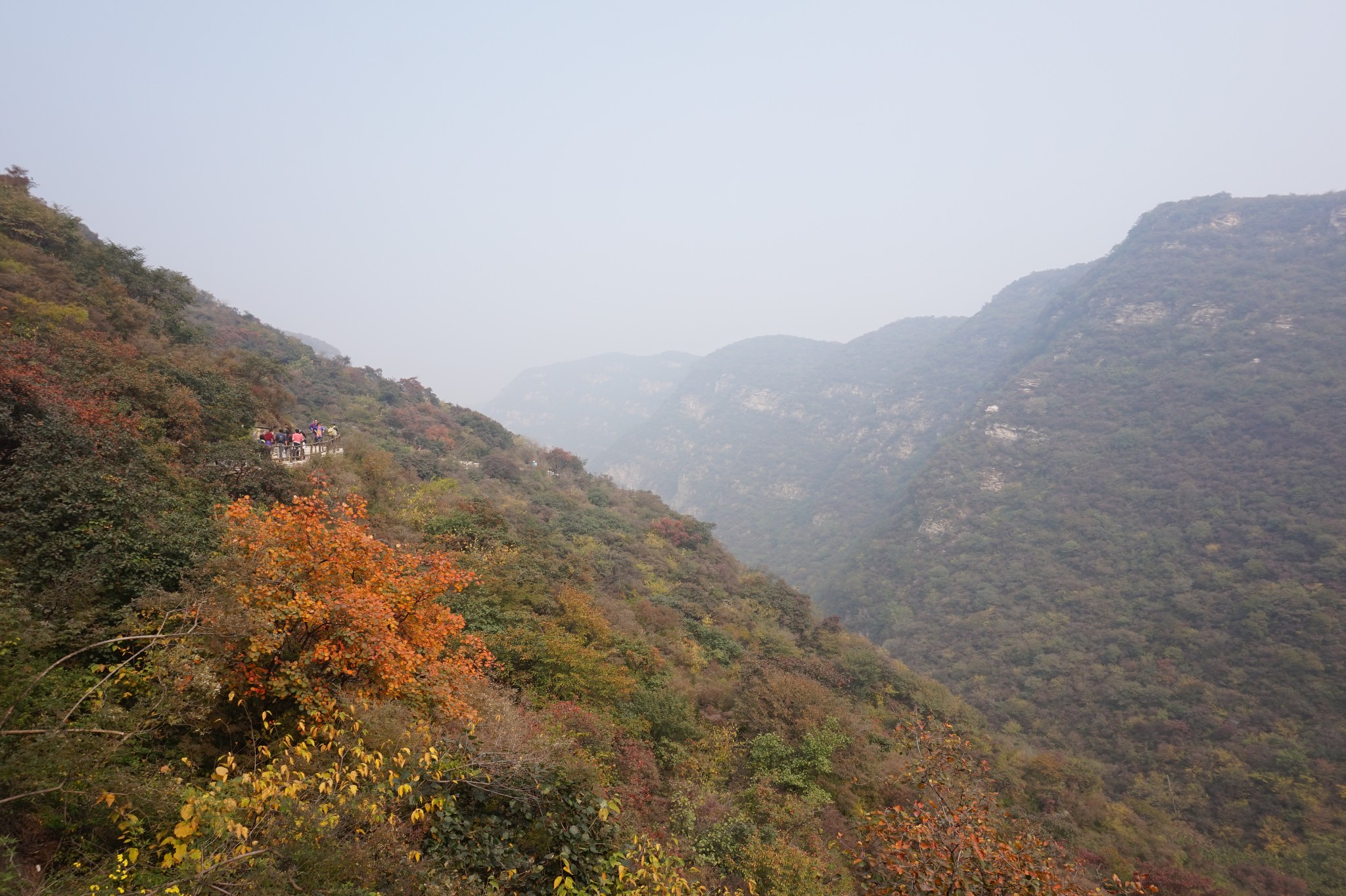 wKgBpVYiRq2AVg5cAAtDmjQVHX440.jpeg?imageView2%2F2%2Fw%2F600%2Fh%2F600%2Fq%2F90