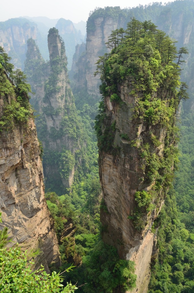一路都有金鞭溪相伴,景色宜人,空气清新。我们边游览边拍照,至紫草潭大约用了一个小时。紫草潭是分界口,左转进砂刀沟上山,直行去千里相会(乱窜坡上山)或水绕四门(百龙大电梯上山)。我们选择砂刀沟上山。据介绍这条路比乱窜坡景色好。一路安静极了,由于走这条路的人很少,山路显得很湿滑,不时还会有猴子出没。大约一个小时来到岔路口,左侧通往杨家界,右侧通往袁家界(望桥台)。我们选择袁家界,杨家界计划第二天游览(也可选择去杨家界,这条道直接通往杨家界的空中走廊,这样游览杨家界时会不走回头路,因从乌龙寨进入杨家界游览空中走