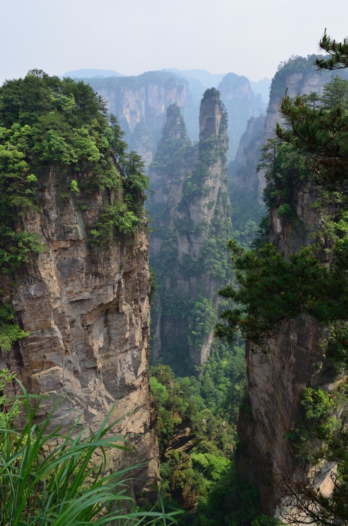 一路都有金鞭溪相伴,景色宜人,空气清新。我们边游览边拍照,至紫草潭大约用了一个小时。紫草潭是分界口,左转进砂刀沟上山,直行去千里相会(乱窜坡上山)或水绕四门(百龙大电梯上山)。我们选择砂刀沟上山。据介绍这条路比乱窜坡景色好。一路安静极了,由于走这条路的人很少,山路显得很湿滑,不时还会有猴子出没。大约一个小时来到岔路口,左侧通往杨家界,右侧通往袁家界(望桥台)。我们选择袁家界,杨家界计划第二天游览(也可选择去杨家界,这条道直接通往杨家界的空中走廊,这样游览杨家界时会不走回头路,因从乌龙寨进入杨家界游览空中走