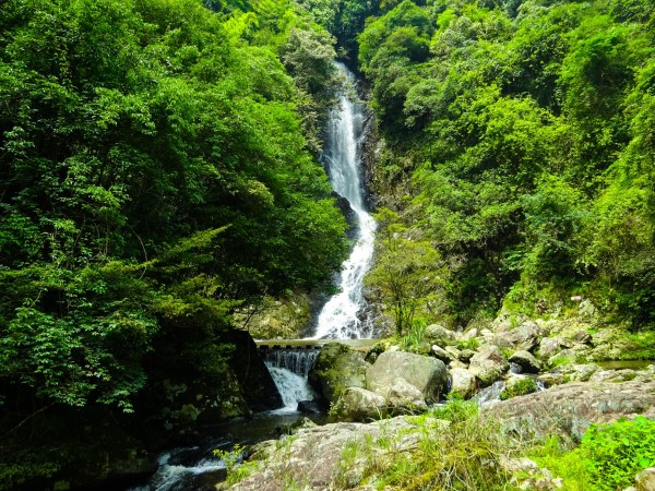 啥是洗肺 wKgBpVWc3VSAKmSBABpak-b1oEo50.jpeg?imageView2%2F2%2Fw%2F600%2Fh%2F600%2Fq%2F90