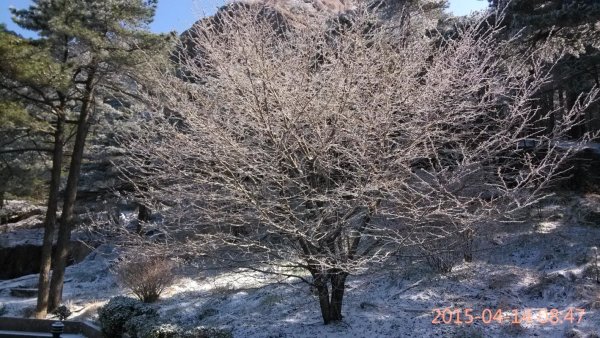 本人三次游黄山的经验总结(纯攻略),黄山自助游攻略