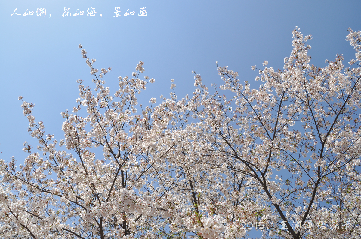 wKgBpVUfV9uAOVzOABmYFajuIV898.jpeg?imageView2%2F2%2Fw%2F600%2Fh%2F600%2Fq%2F90