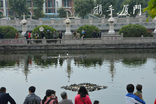 营仔下洋人口(2)