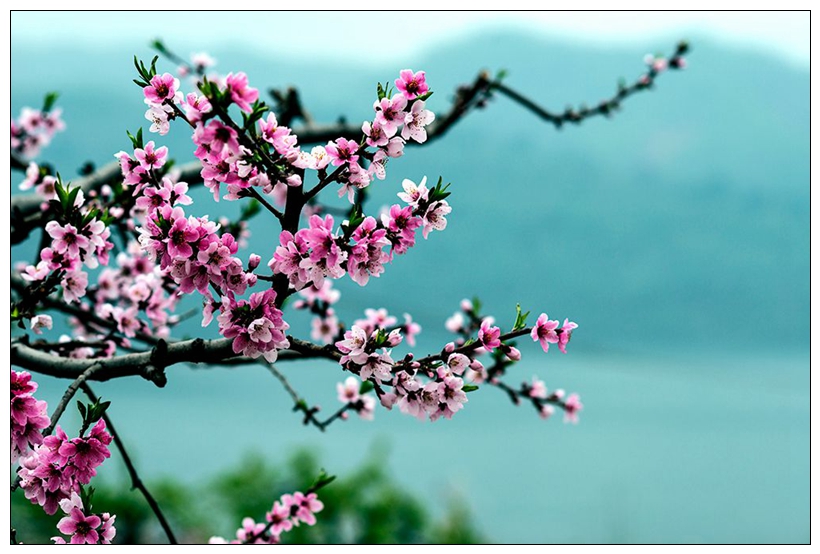 wKgBpVVPmbmATB5IAATDLosZZR057.jpeg?imageView2%2F2%2Fw%2F600%2Fq%2F90%7CimageMogr2%2Fstrip%2Fquality%2F90
