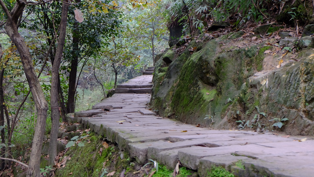 重庆尖刀山森林公园