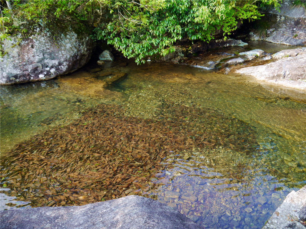 5.1永嘉(楠溪江)四海山森林公园