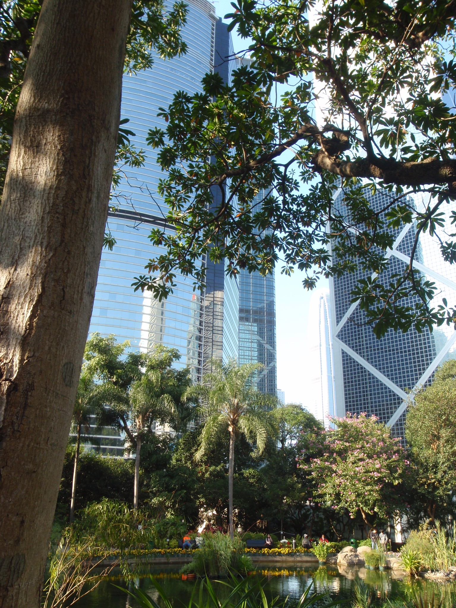 香港公园 动植物公园 维港夜景