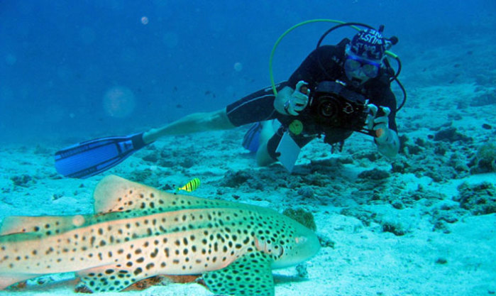 马代神仙珊瑚岛和蓝色美人蕉,怎么选?纠结