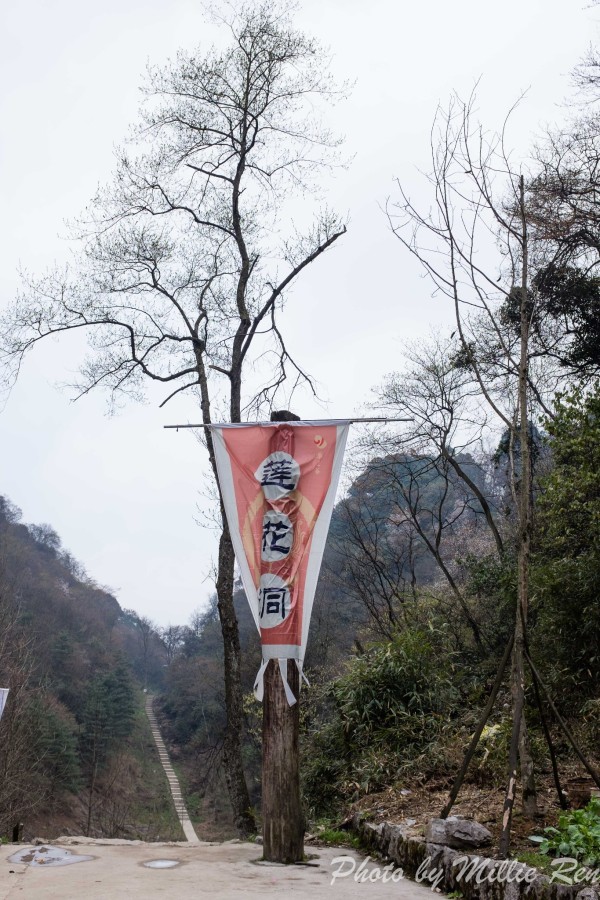 药王谷游玩攻略,药王谷游玩攻略大全