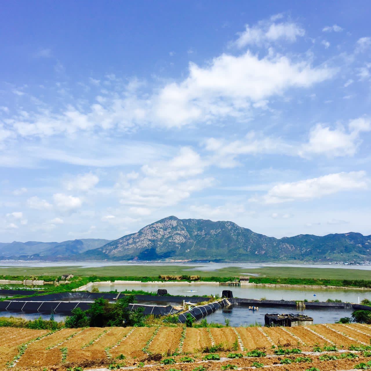 大京海滩度假村        