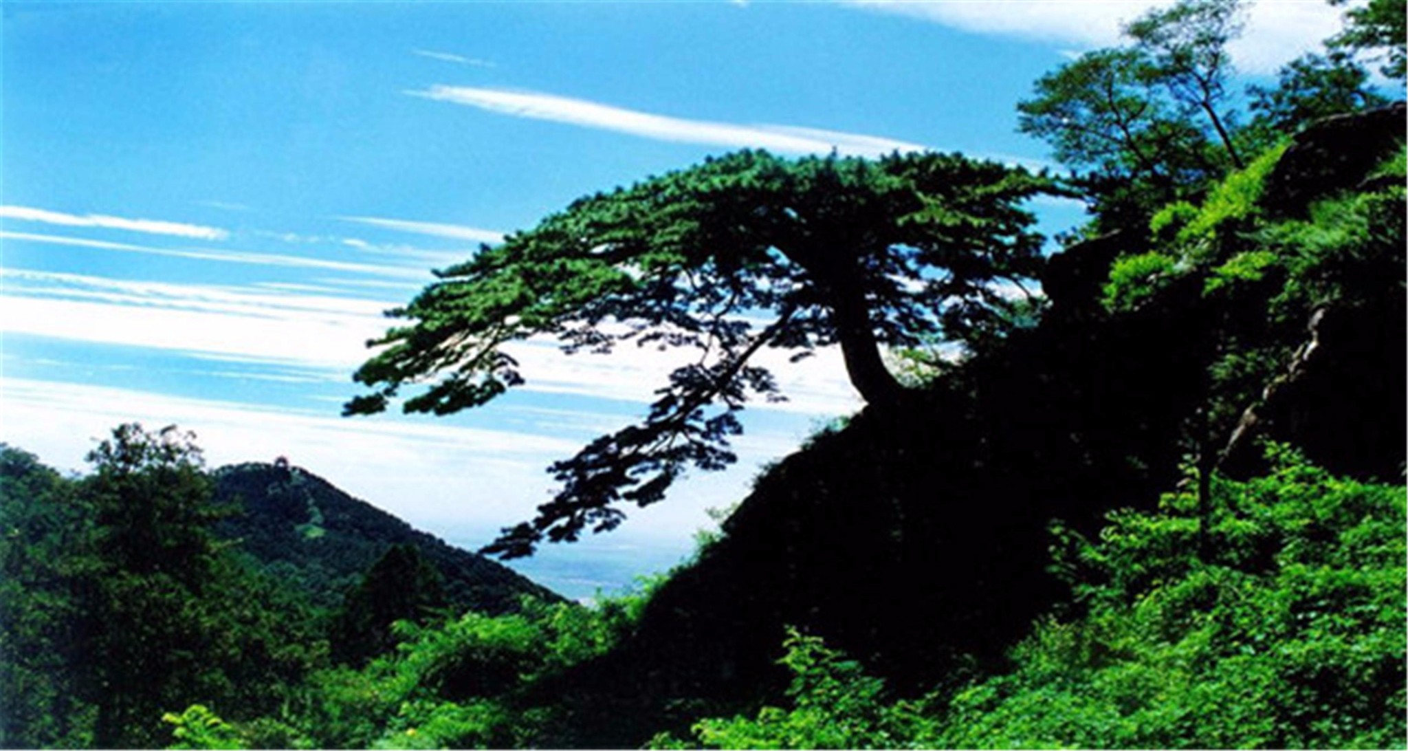 wKgBs1gm3iyAPAHWAAXzmmvU7d886.jpeg?imageView2%2F2%2Fw%2F600%2Fh%2F600%2Fq%2F90