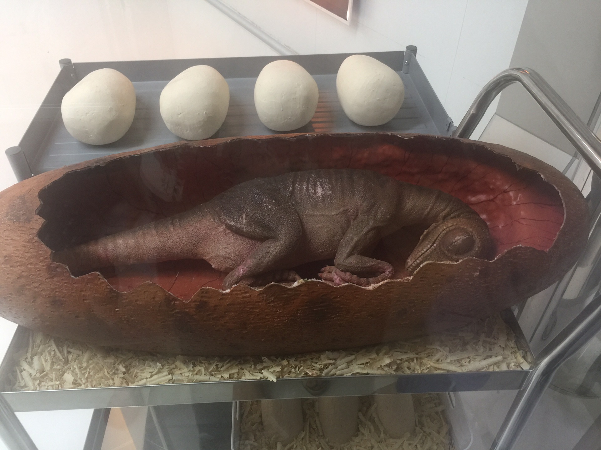 wKgBs1fwpFCAddeQAAe4WDqUWks29.jpeg?imageView2%2F2%2Fw%2F600%2Fh%2F600%2Fq%2F90