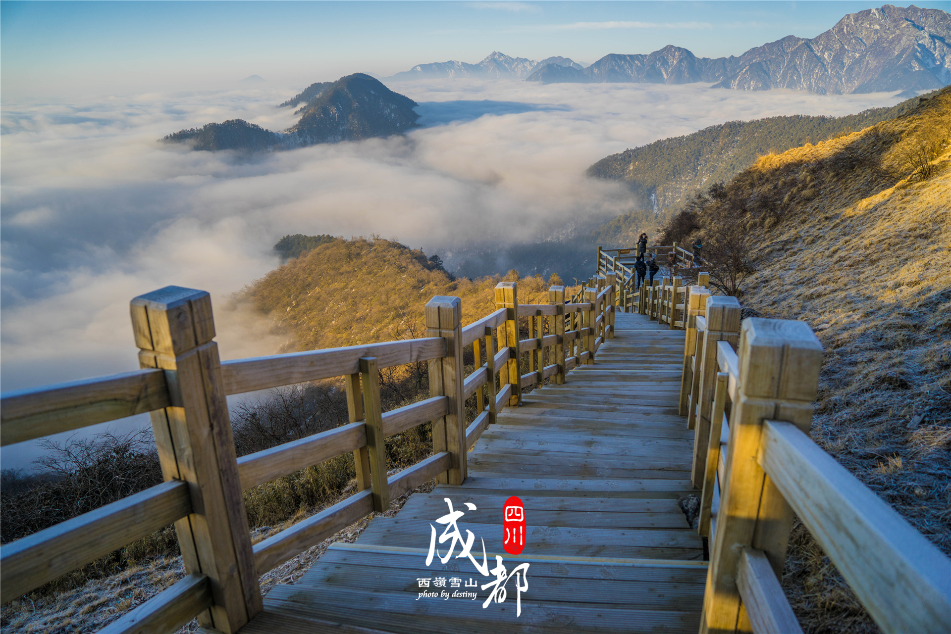 谁说成都不能看雪?西岭雪山让你看山看云又看雪~(附路线推荐)