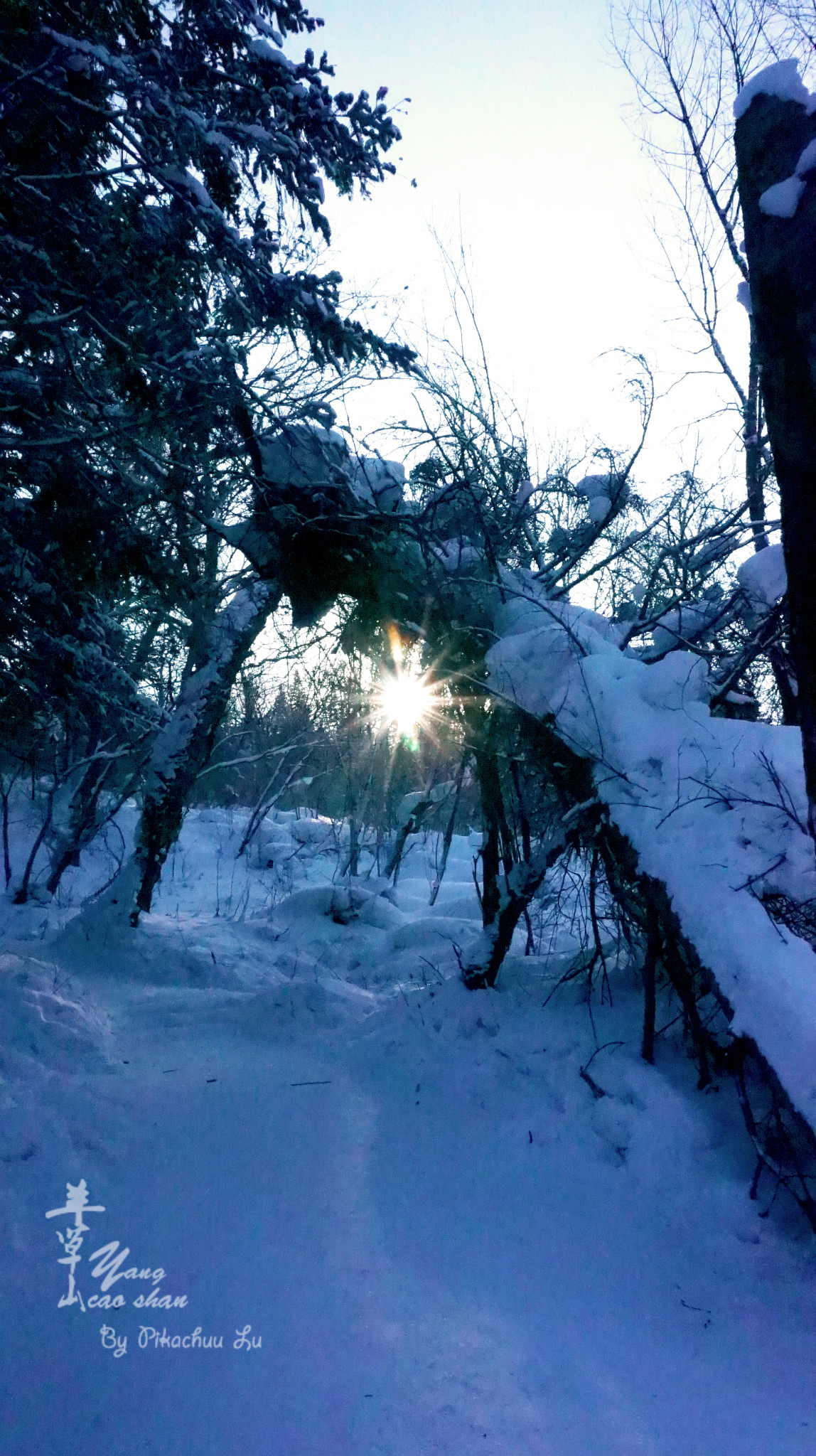 wKgBs1bUZSyAay15AA5qGNd1KN834.jpeg?imageView2%2F2%2Fw%2F600%2Fh%2F600%2Fq%2F90%7Cimageslim