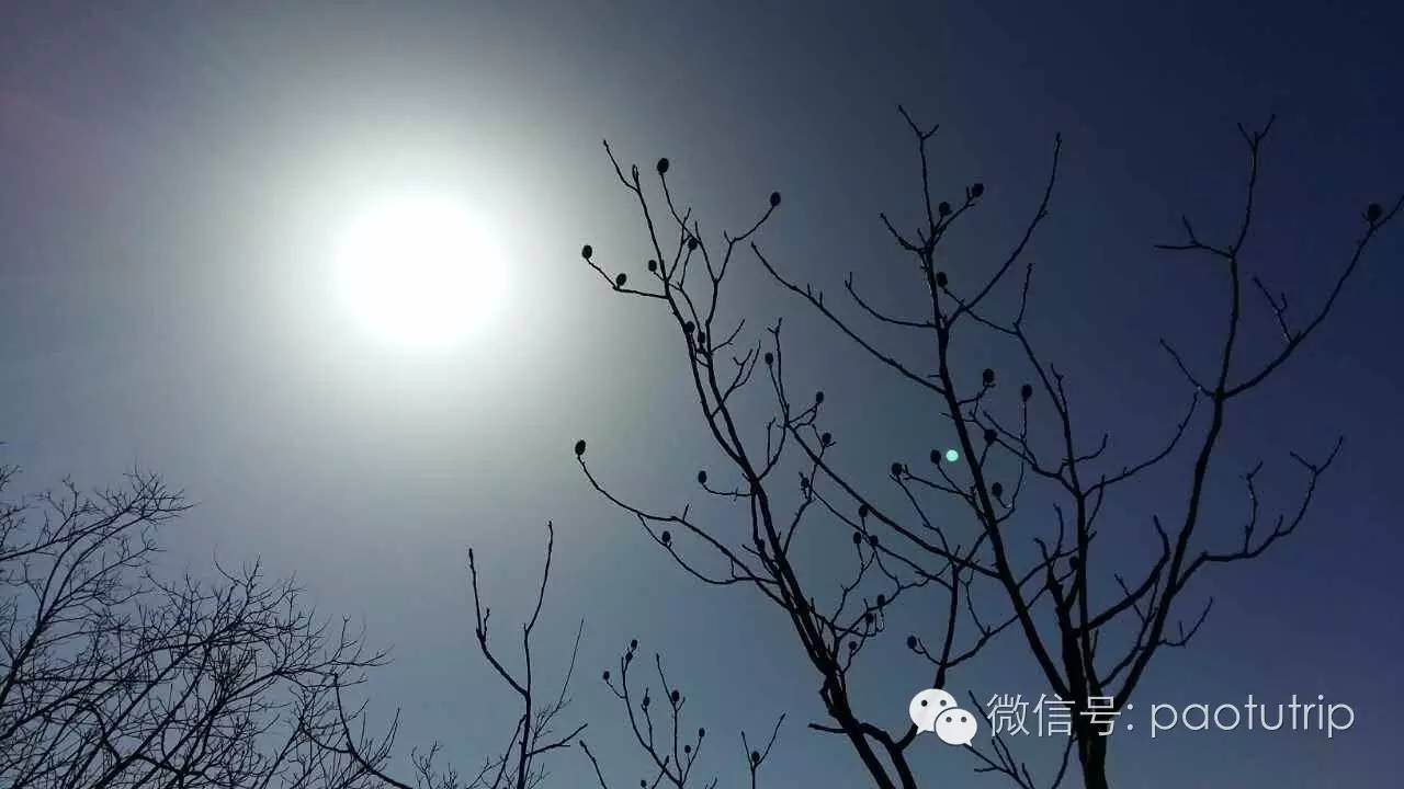 雪霁天晴朗简谱_奇迹暖暖雪霁天图片