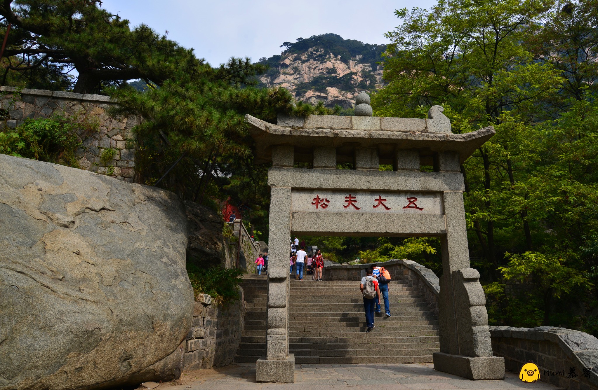 泰山之美尽在攀登中# 带上妈妈去旅行~【青岛.济南.泰山.