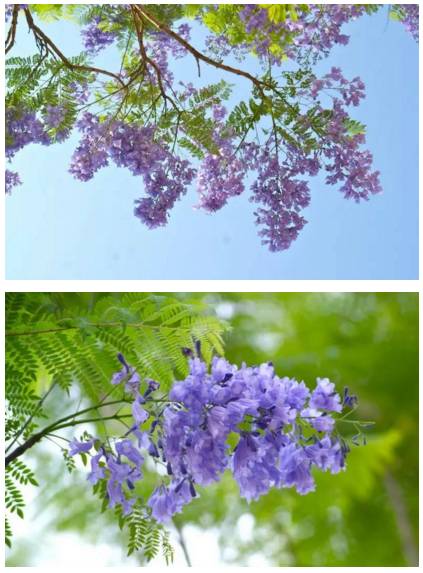 wKgBs1cN_L-AFNghAACubbhVmGA91.jpeg?imageView2%2F2%2Fw%2F600%2Fh%2F600%2Fq%2F90