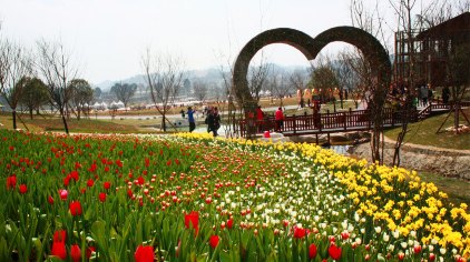 贵定金海雪山四季花谷门票