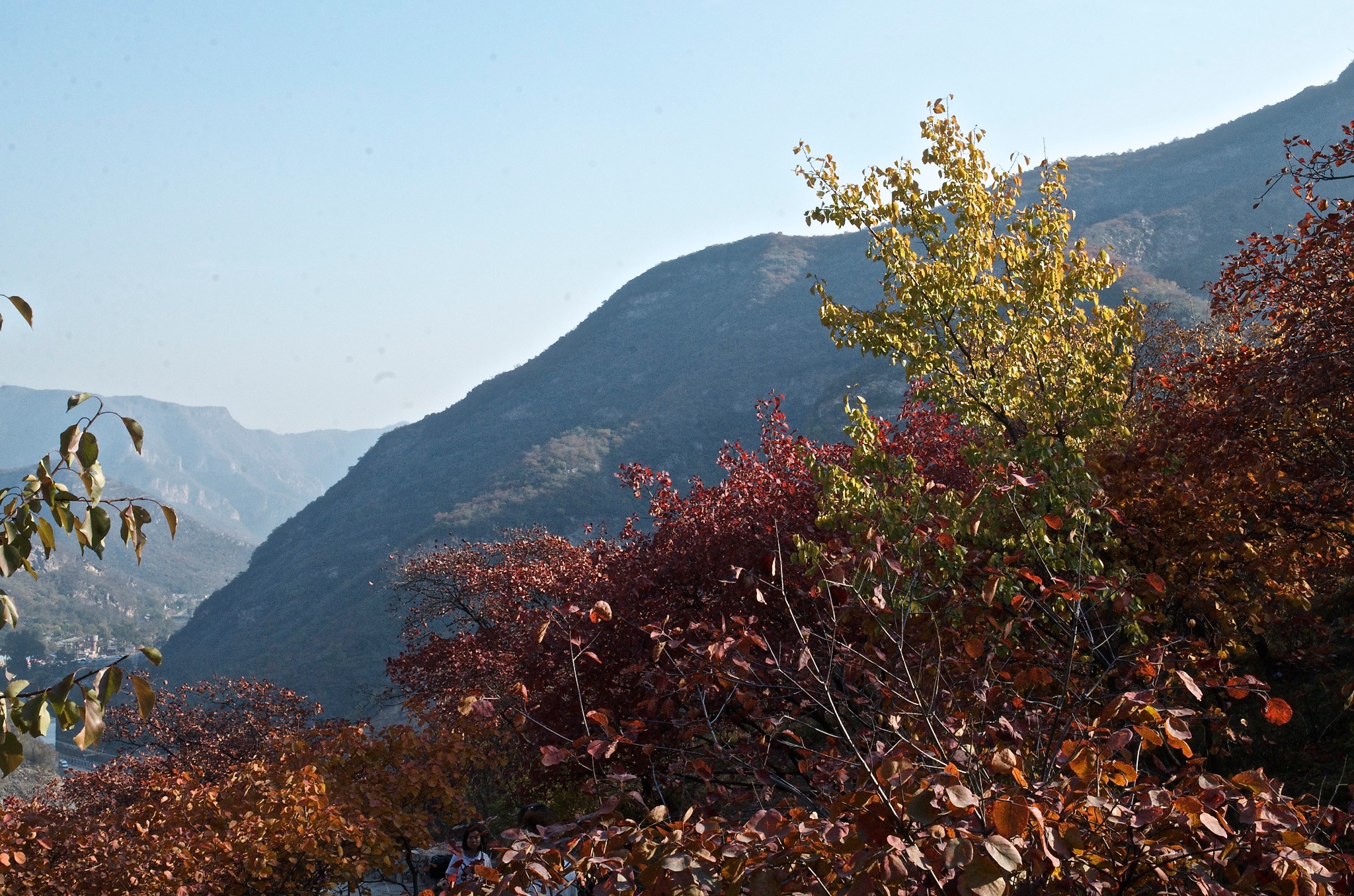 wKgBs1gXNa2APru3AA7INzYbnhA43.jpeg?imageView2%2F2%2Fw%2F600%2Fh%2F600%2Fq%2F90