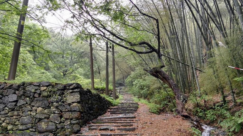 【两日游】漫走绍兴古城 穿越上青古道(上海出发)