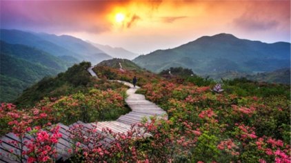 长沙大围山国家森林公园门票