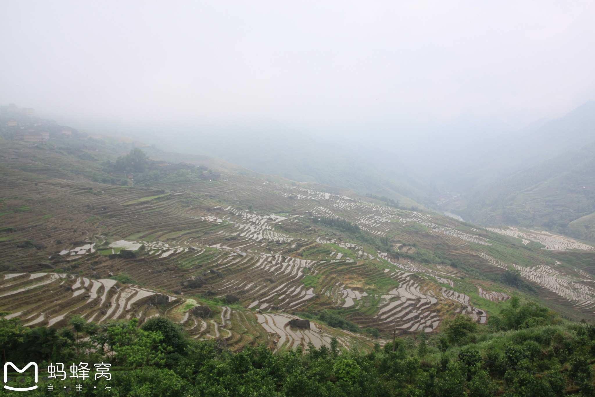 龙脊古壮寨人口_龙脊古壮寨梯田图片(2)