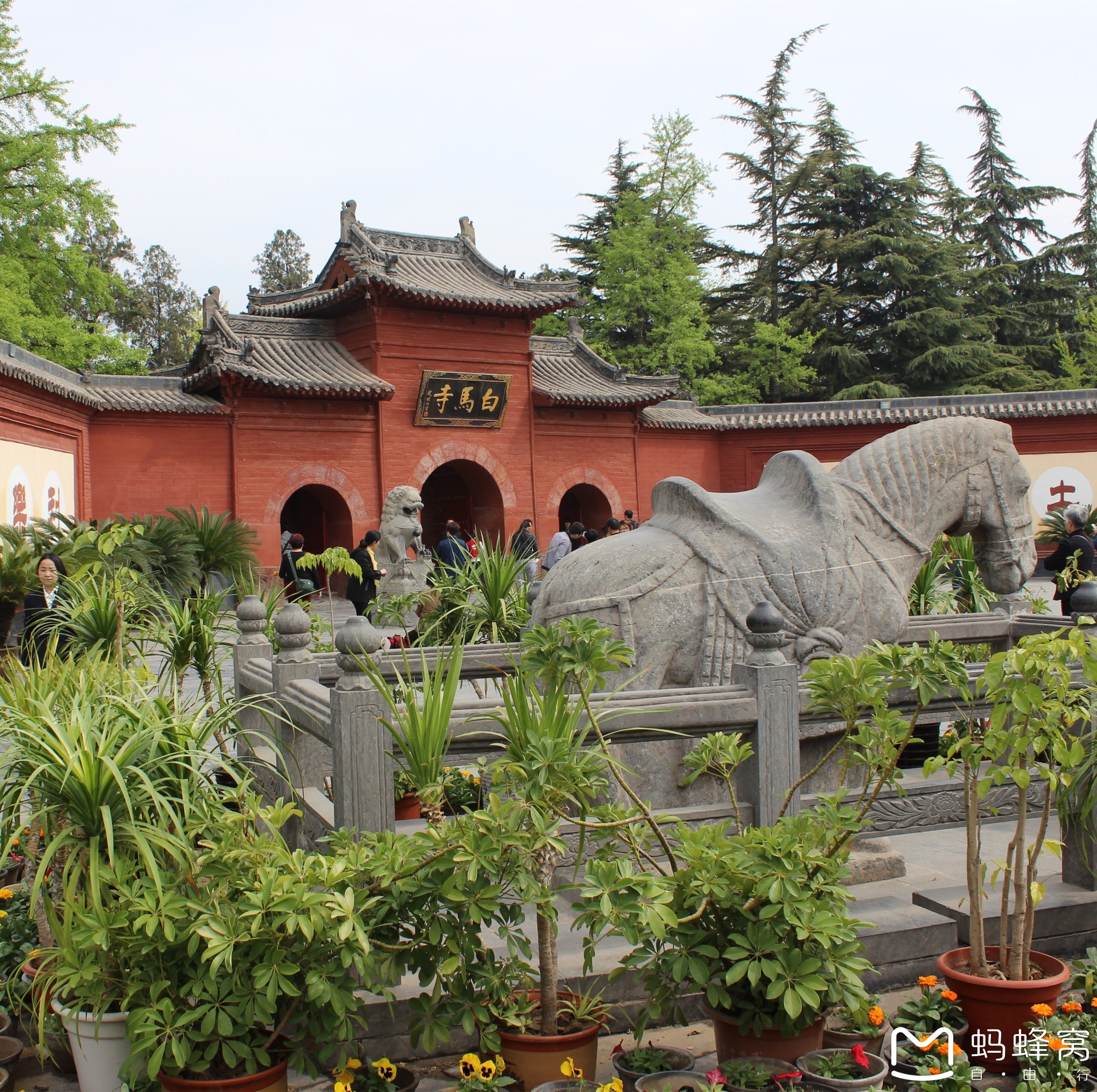 洛阳白马寺         