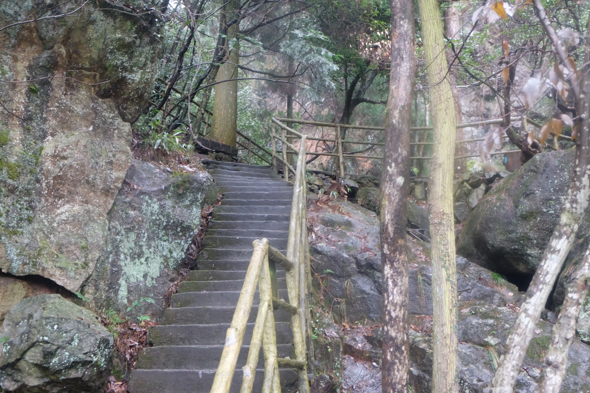 givemefive2015112829风雨无阻徒步行走临安大明山东天目山