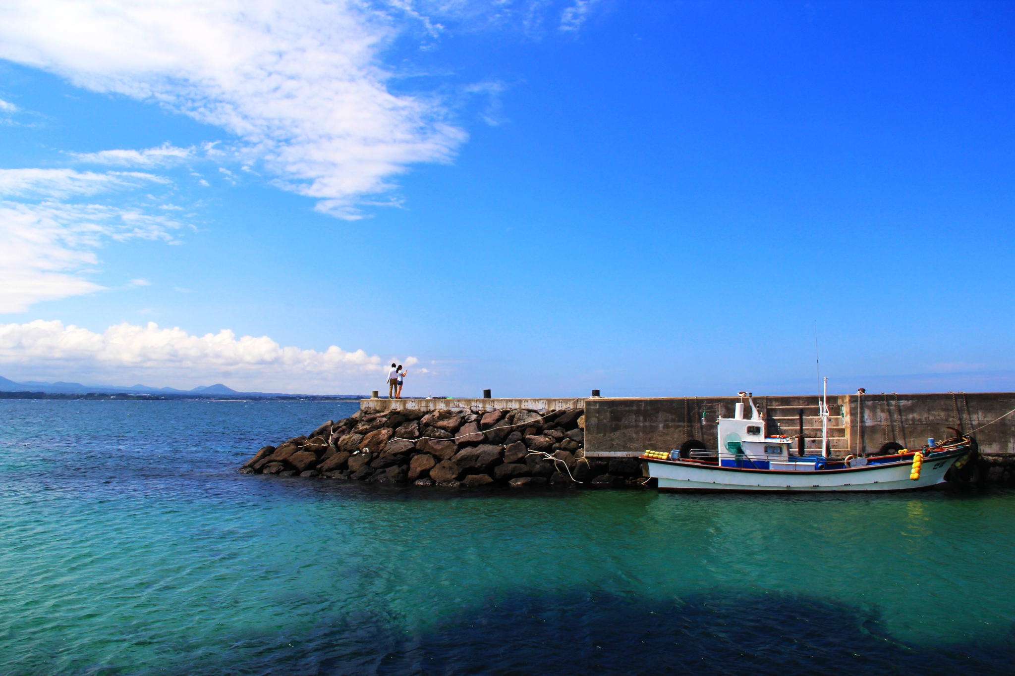 济州排名_济州真柏盆景图片