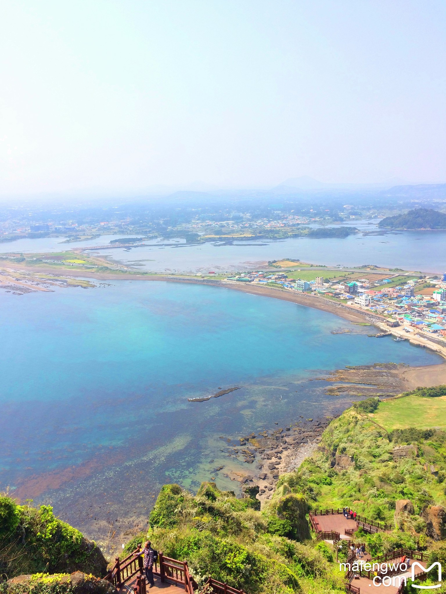 济州排名_济州真柏盆景图片(2)