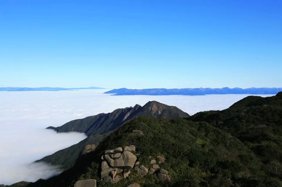 wKgBs1Z7f8aAW5wWAAERBOkv7qE50.jpeg?imageView2%2F2%2Fw%2F600%2Fh%2F600%2Fq%2F90