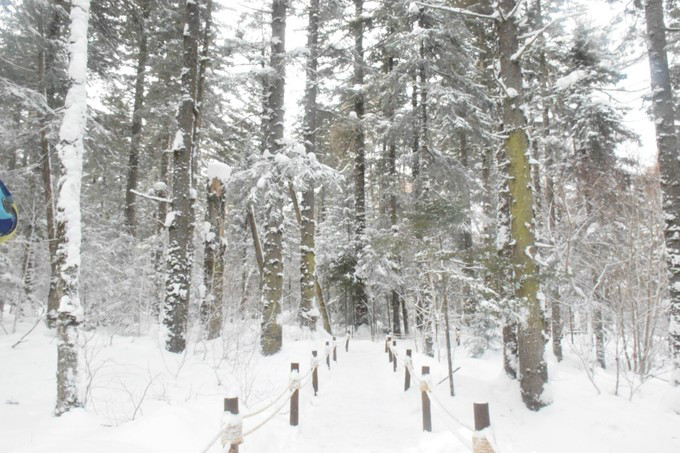 很厚的大雪 wKgBs1Ztd86ASvgdAAHn0OfwZeg27.jpeg?imageView2%2F2%2Fw%2F680%2Fq%2F90