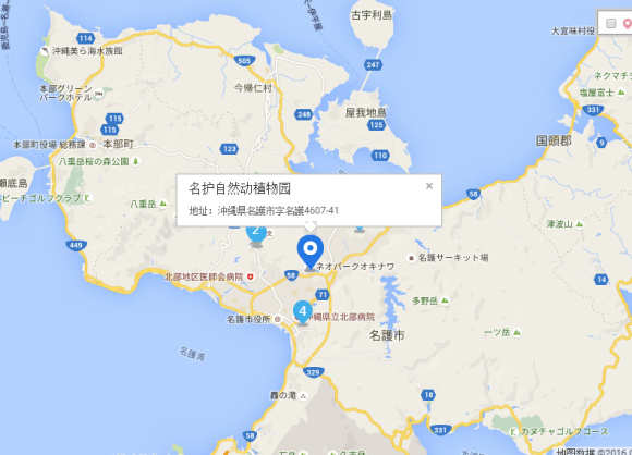 1.大石林山 位于冲绳本岛最北端的辺户岬附近,是冲绳规模最大的景点。它位于琉球创世之神“阿摩美久”最先创造的的圣地安须社(Ashimui)內。在经历了2亿年风化而成的喀斯特地形中,有4条徒步线路。还有瞭望台可以将辺户岬和鹿儿岛的美景尽收眼底。 2.古宇利海洋塔 位于古宇利岛上的海洋塔高82米,周围是由非常透明的蓝色和翡翠绿组成的海洋,站在瞭望塔上可将一望古宇利大桥和周边的美丽海域。这里还有一座贝壳展示馆,可以一并参观,展出约有1500个品种1万多件的世界贝壳,你还能看到许多危