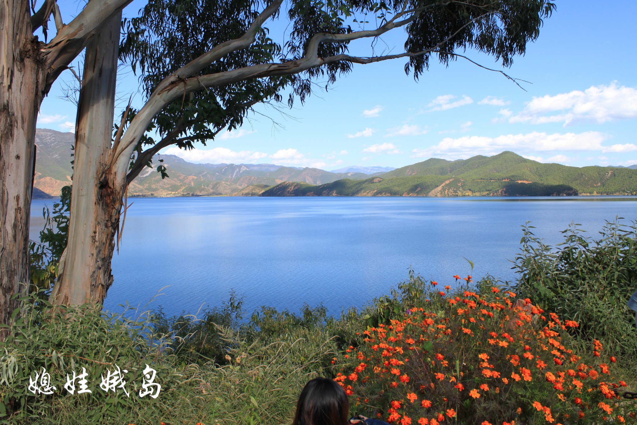 泸沽湖拍婚纱照_泸沽湖水性杨花图片(3)