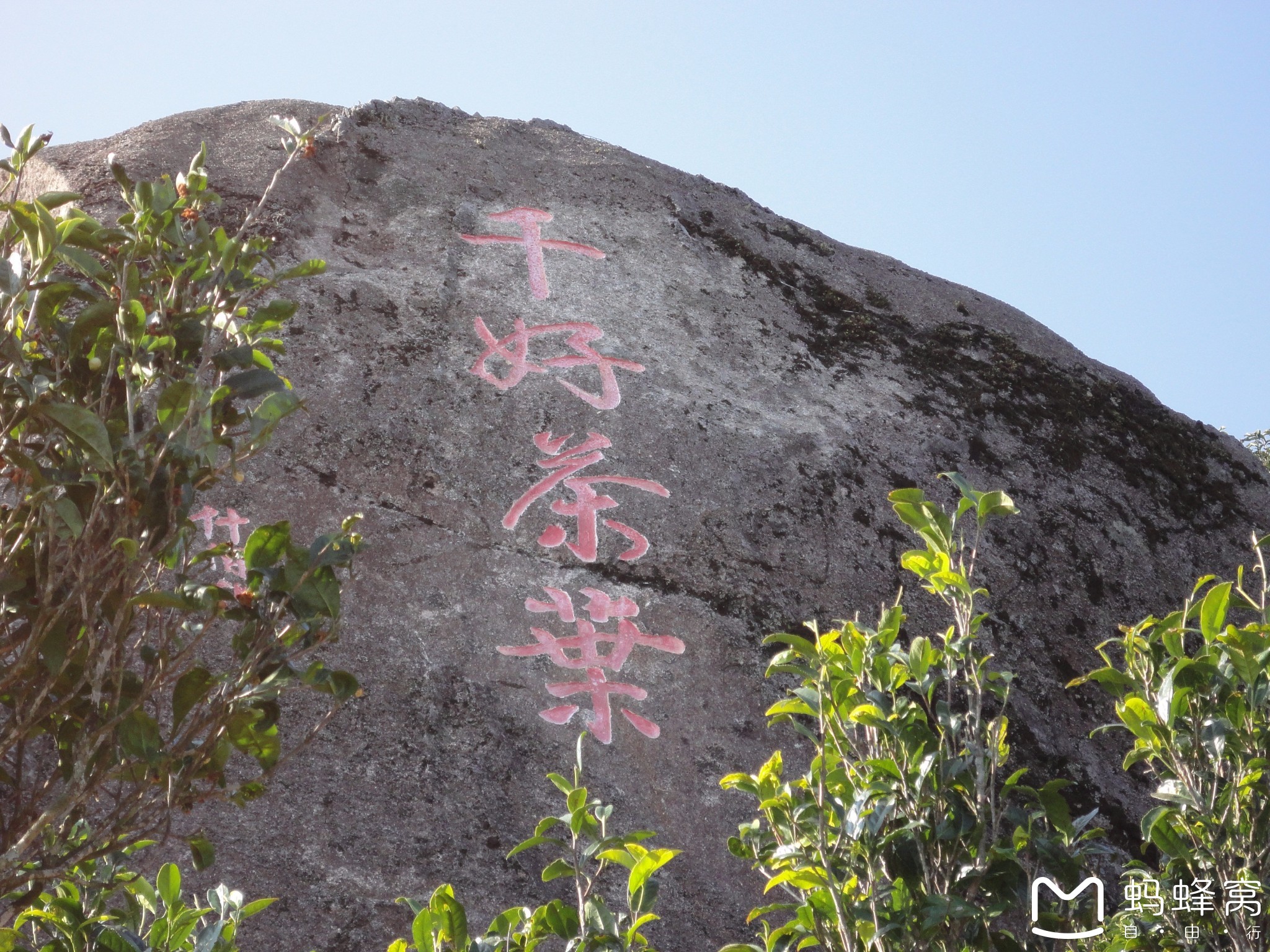 潮州凤凰山和凤鸟髻集锦