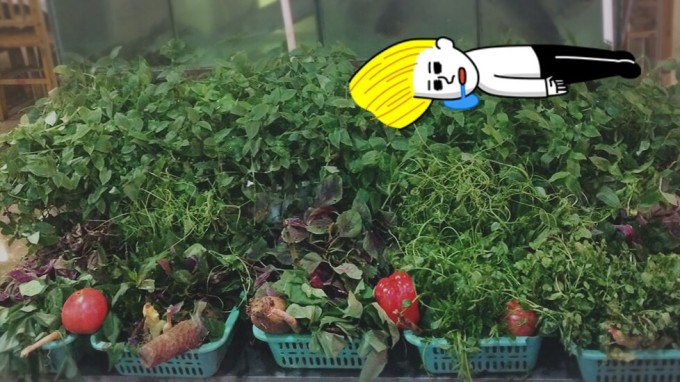 第二天 我5:50am就被老外积极的收拾声音叫醒了,最初真的超纠结,话说第一次爬山可是睡的足足的10am才出门的,这心散的。我们前一天晚上就咨询了和大致计算了一下路程,目标是仙峰寺和洗象池,如果能到雷洞坪,那最好,要看我们的步速。我们在游客中心买了汽车票坐到了五显崗停车场,40元一人。(tips:一定要留好你的票根,因为,下山的时候可以便宜10元买下山的票,其实算下来,比买来回票都还便宜。来回票是90元一人,存了票根相当于80元一个人来回,话说,T真的超级心细,是她让我试试的。记住要留下,不然是不可以便宜